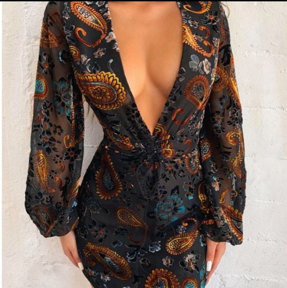 Tiger Mist Dresses & Skirts - Tiger Mist Etinne Dress Burned Velvet Mini Dress